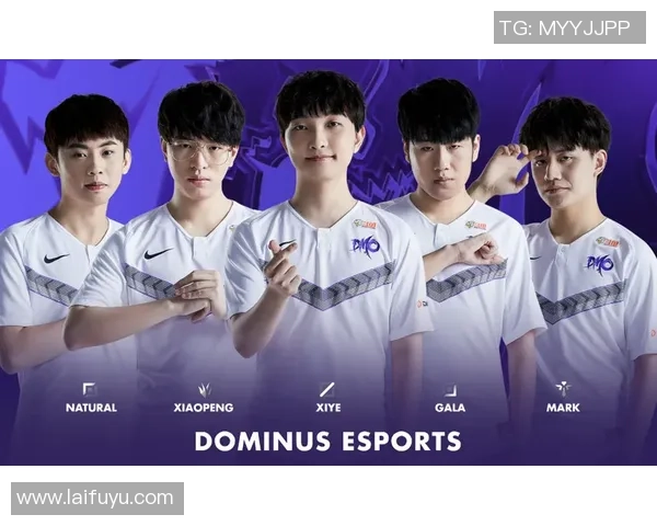 深入探讨RNG战队在赛事中的技术表现与数据分析结果